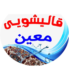 لوگوی قالیشویی معین